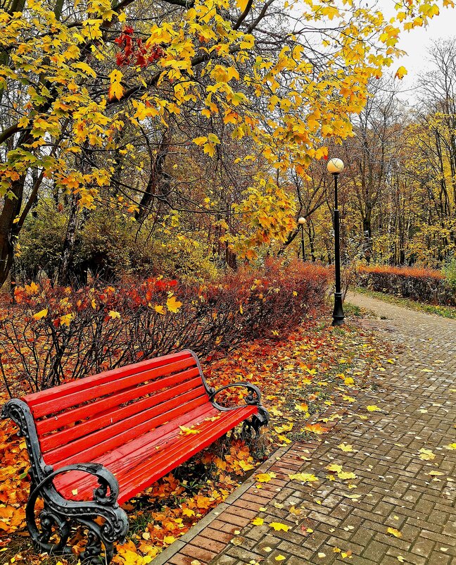 Осень в городском парке - Наталья Евтушенко