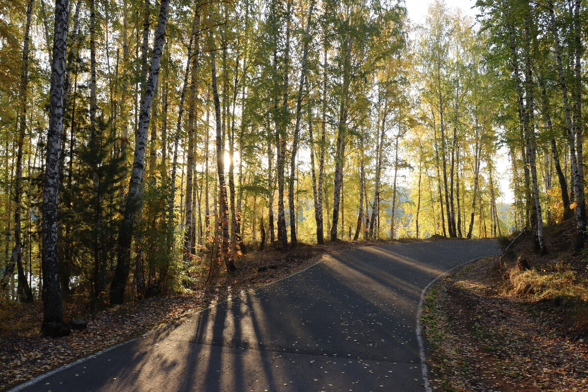 * - Александр Николаев