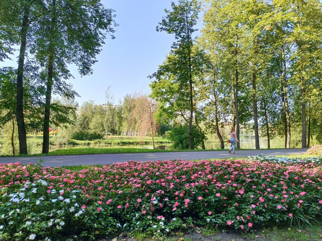 Сентябрь в парке - Мария Васильева