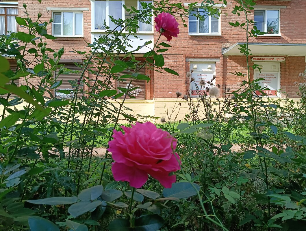 На прогулке по городу - Мария Васильева