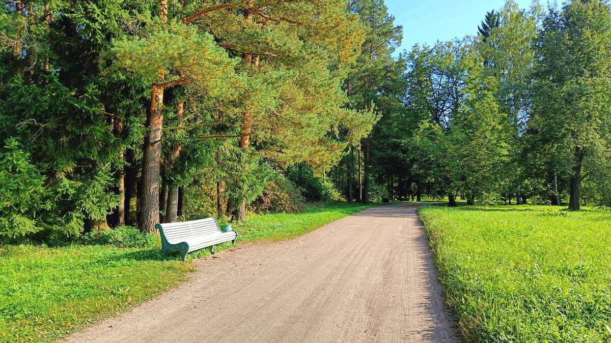 Павловский парк, г.Павловск - Александр Ульныров