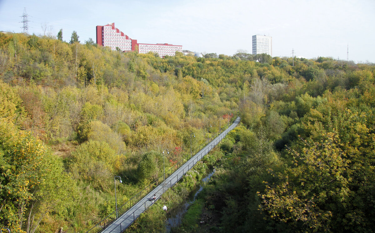 В долине реки Егошихи - Евгений Шафер