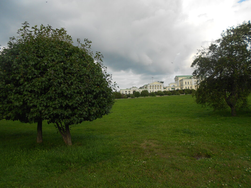 про Екатеринбург - Елена Шаламова