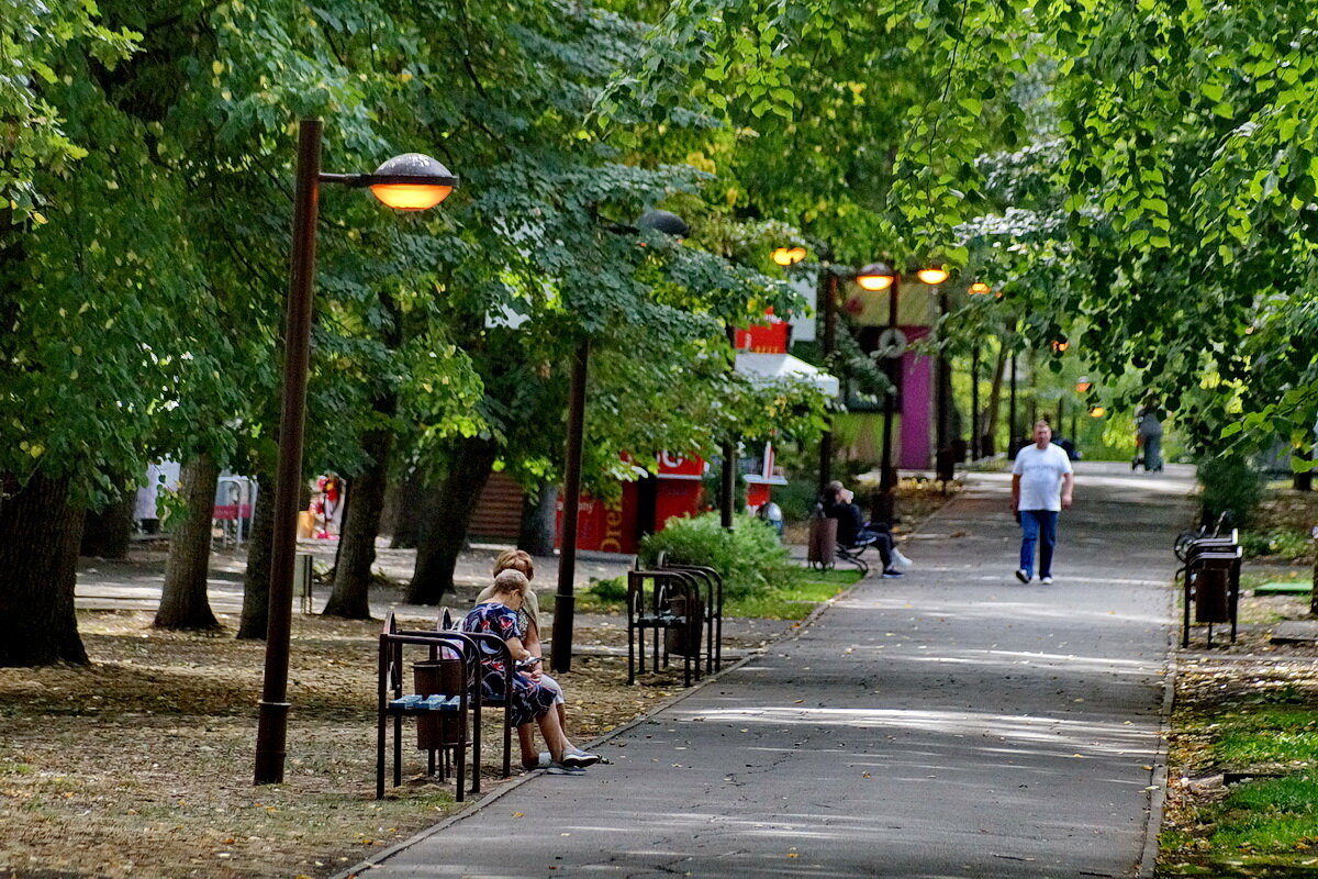 В парке при свете фонарей... - Николай Саржанов