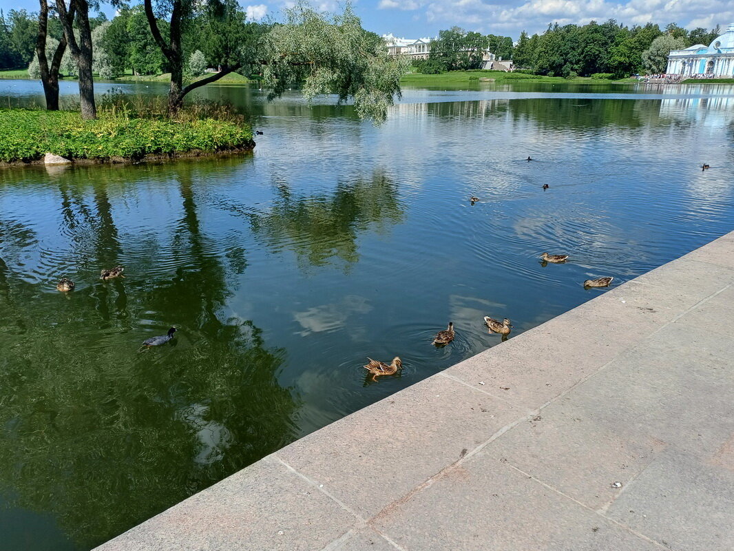 Царское село - Любовь Чунарёва