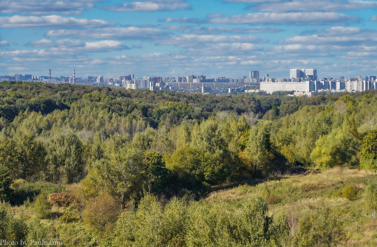 Московская осень... - Владимир Жданов