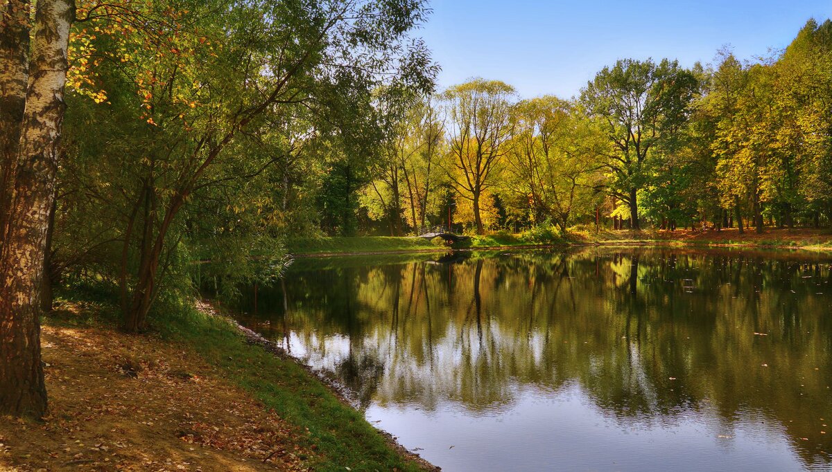 Осень в Кусково - Наталья Лакомова