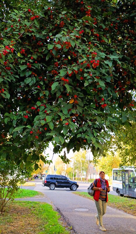 Осень в городе - Светлана 13.06.