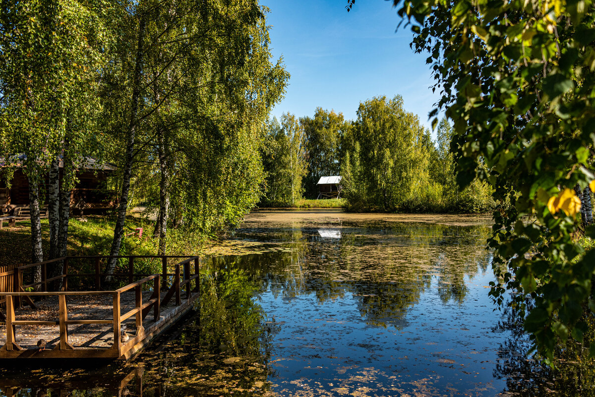 *** - Дмитрий Лупандин