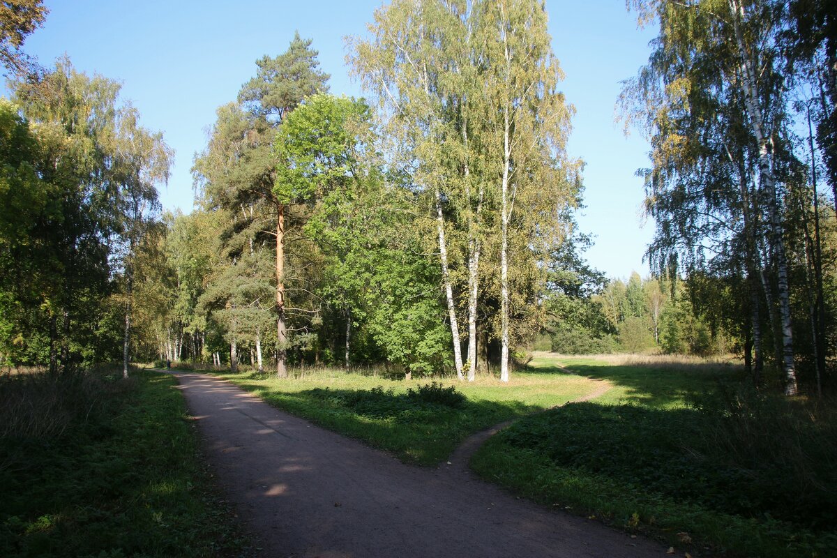 Царское Село. Отдельный парк - Наталья Герасимова