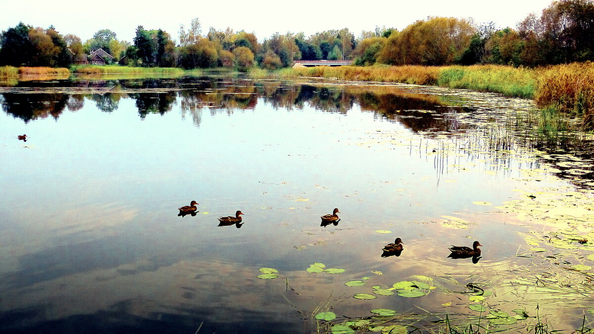 По водной глади... - Игорь 