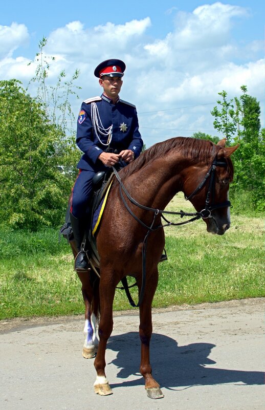 СОТНИК - Сергей Стремянной