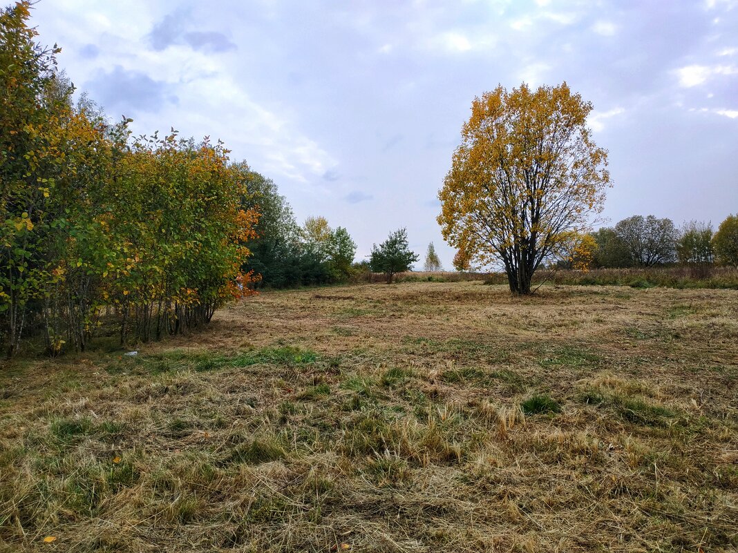 день осенний - Валентина. .