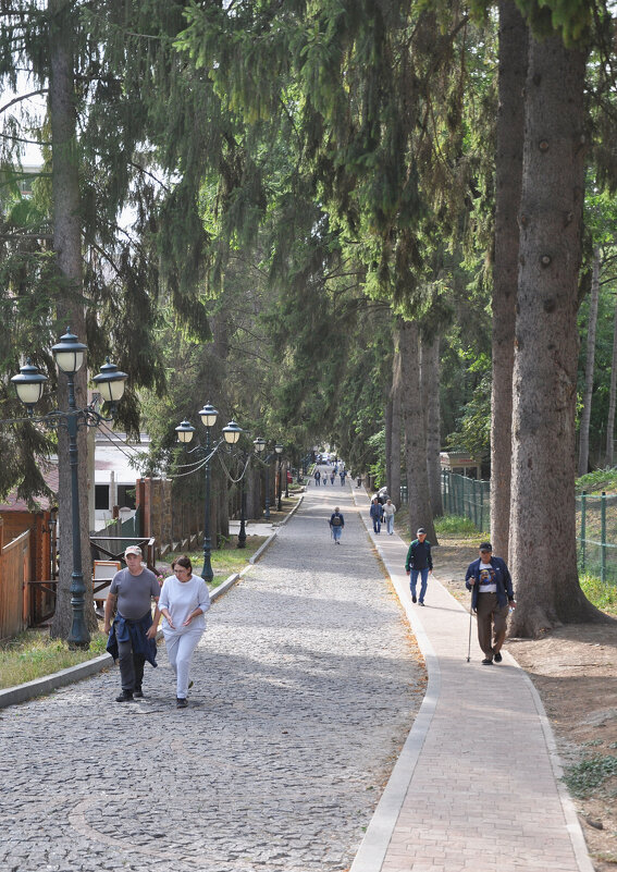 Кисловодск. Дорога в парк. - Татьяна Машошина