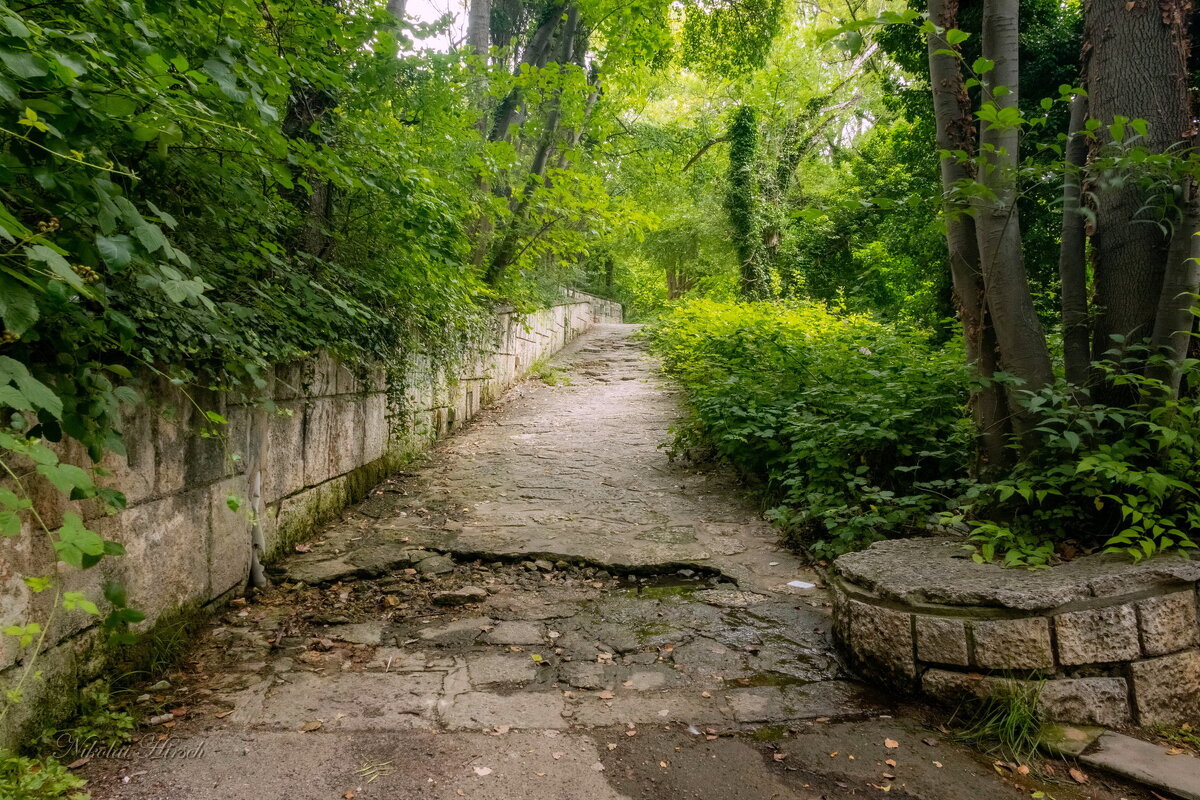 Дорога с пляжа... - Николай Гирш