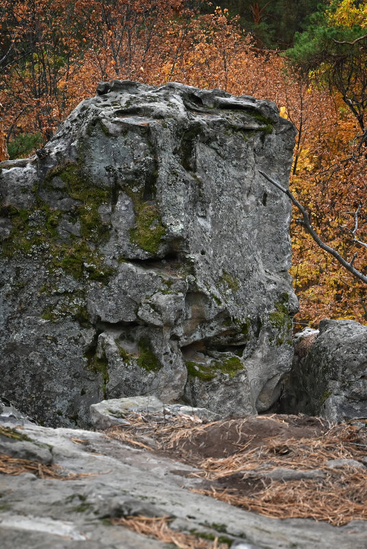 "Окаменевший Великан" - Александр Беляков