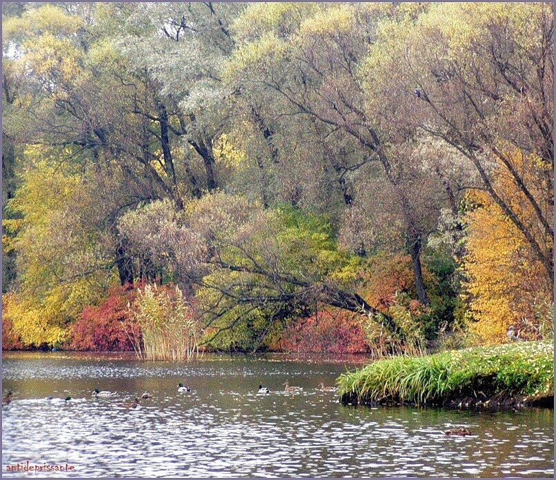 Осень....Царское Село... - vadim 