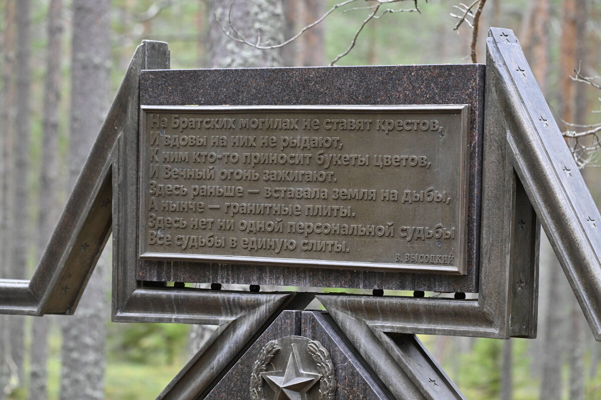 Памятник братской могиле - Николай Павлович 