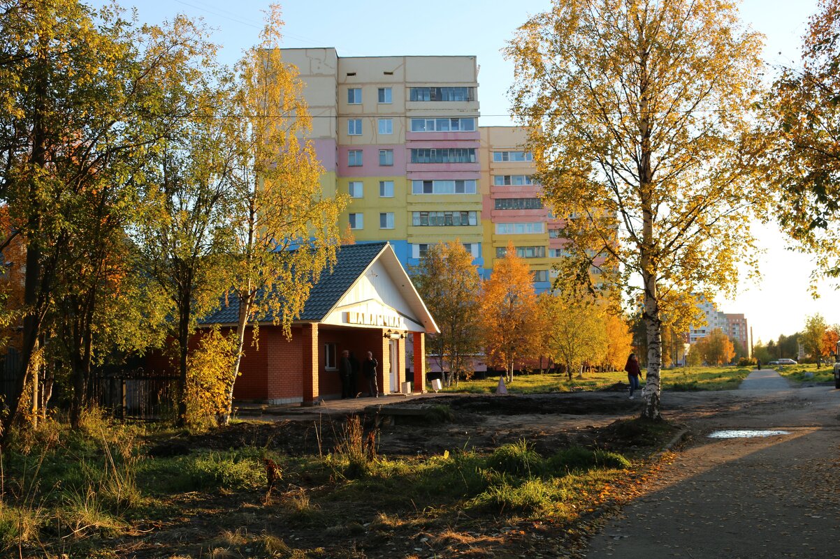 Осень в городе - Ольга 