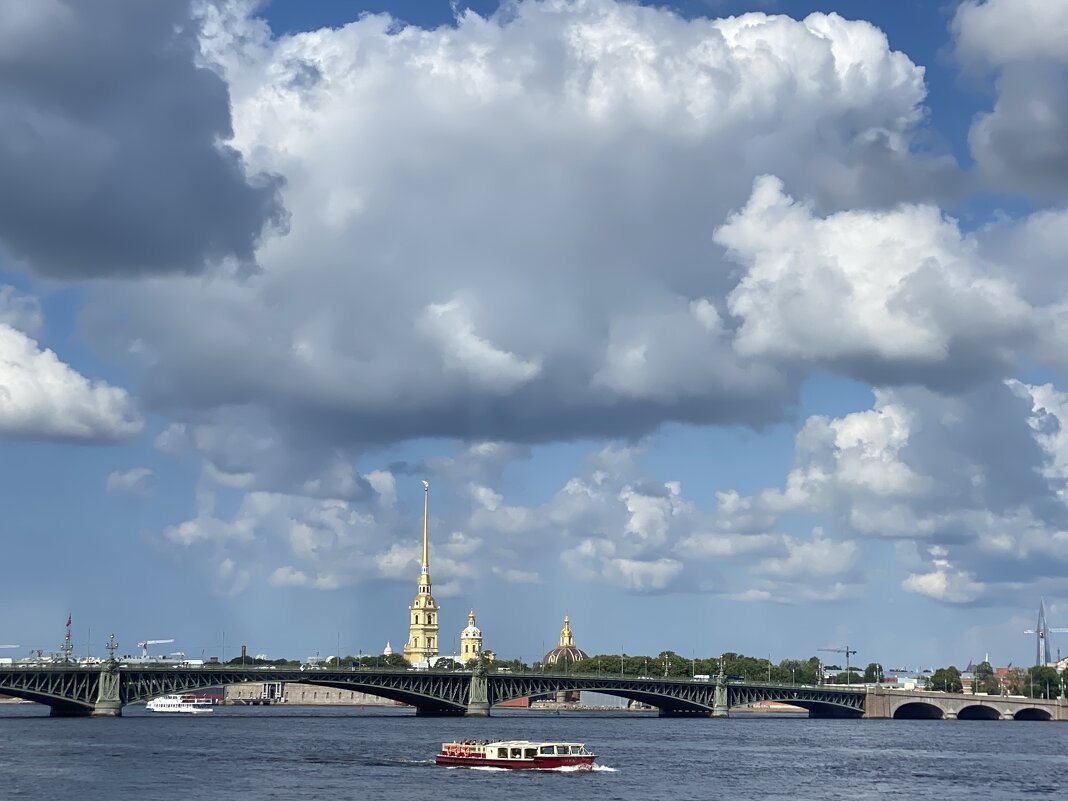 Троицкий мост ,вид с Невы. - Татьяна Ф *