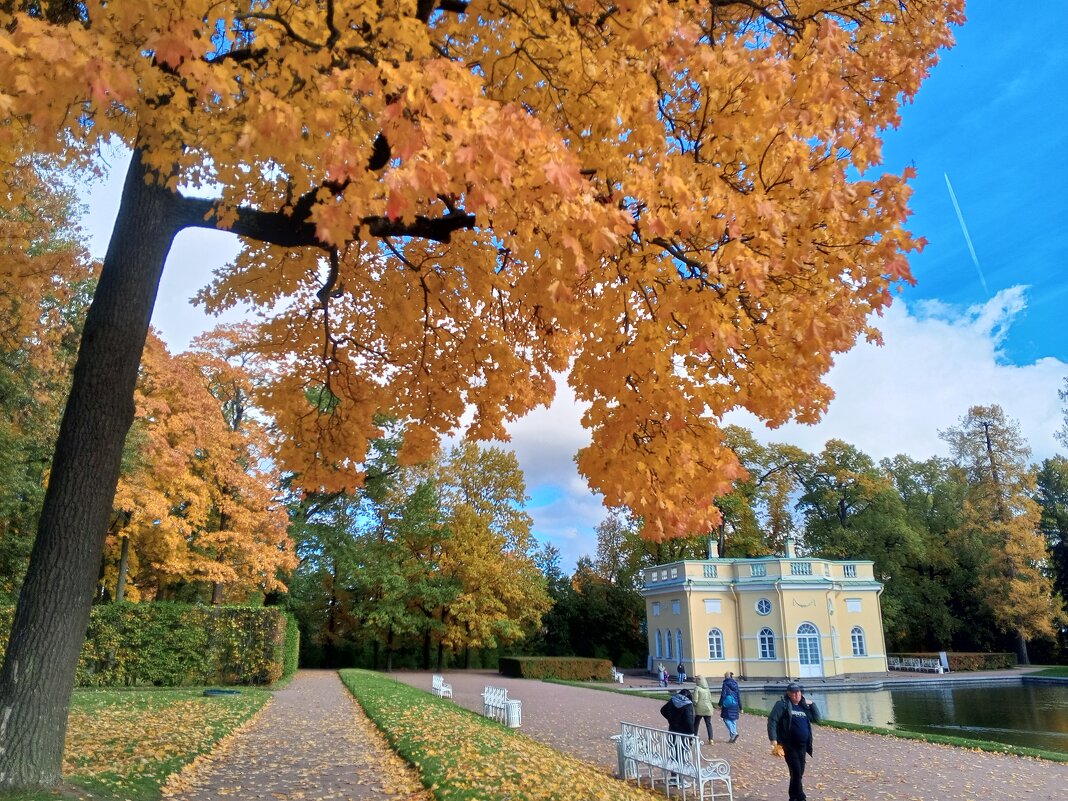 Осень - Сапсан 