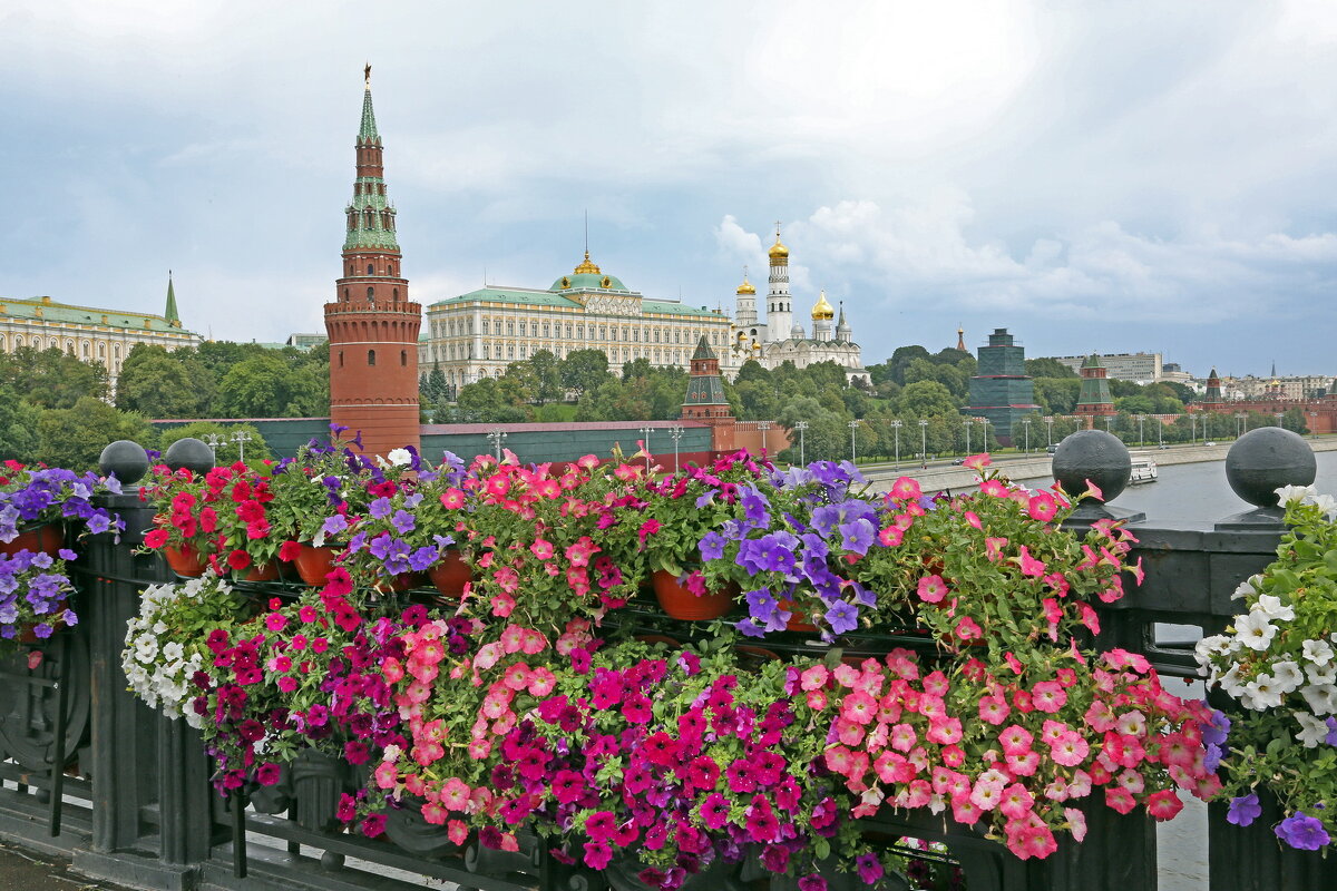 Кремль и петуния на Москворецком мосту в июле - Михаил Бибичков