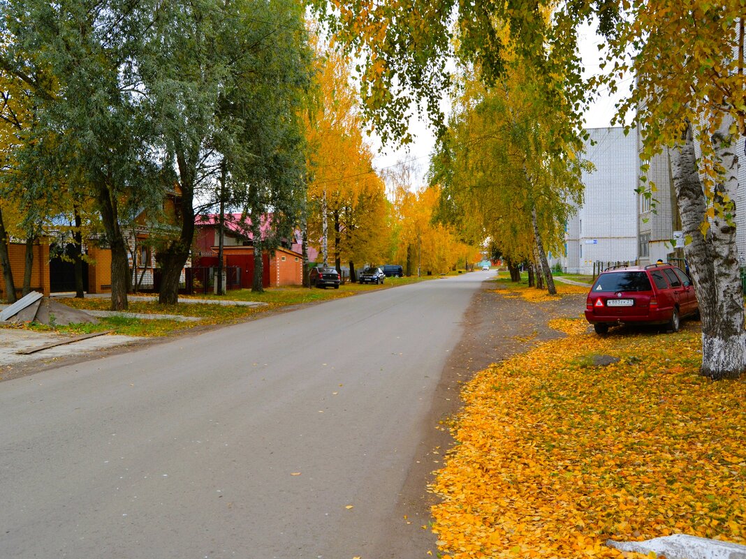 Цивильск. Улица Советская осенью. - Пётр Чернега