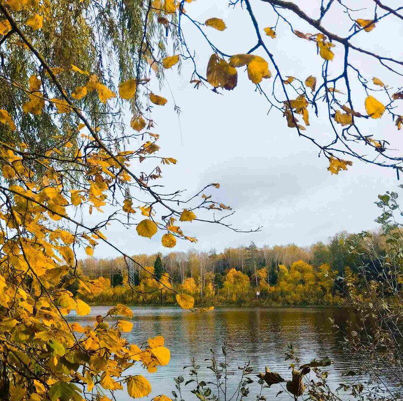 Здравнёво - Галина Бобкина