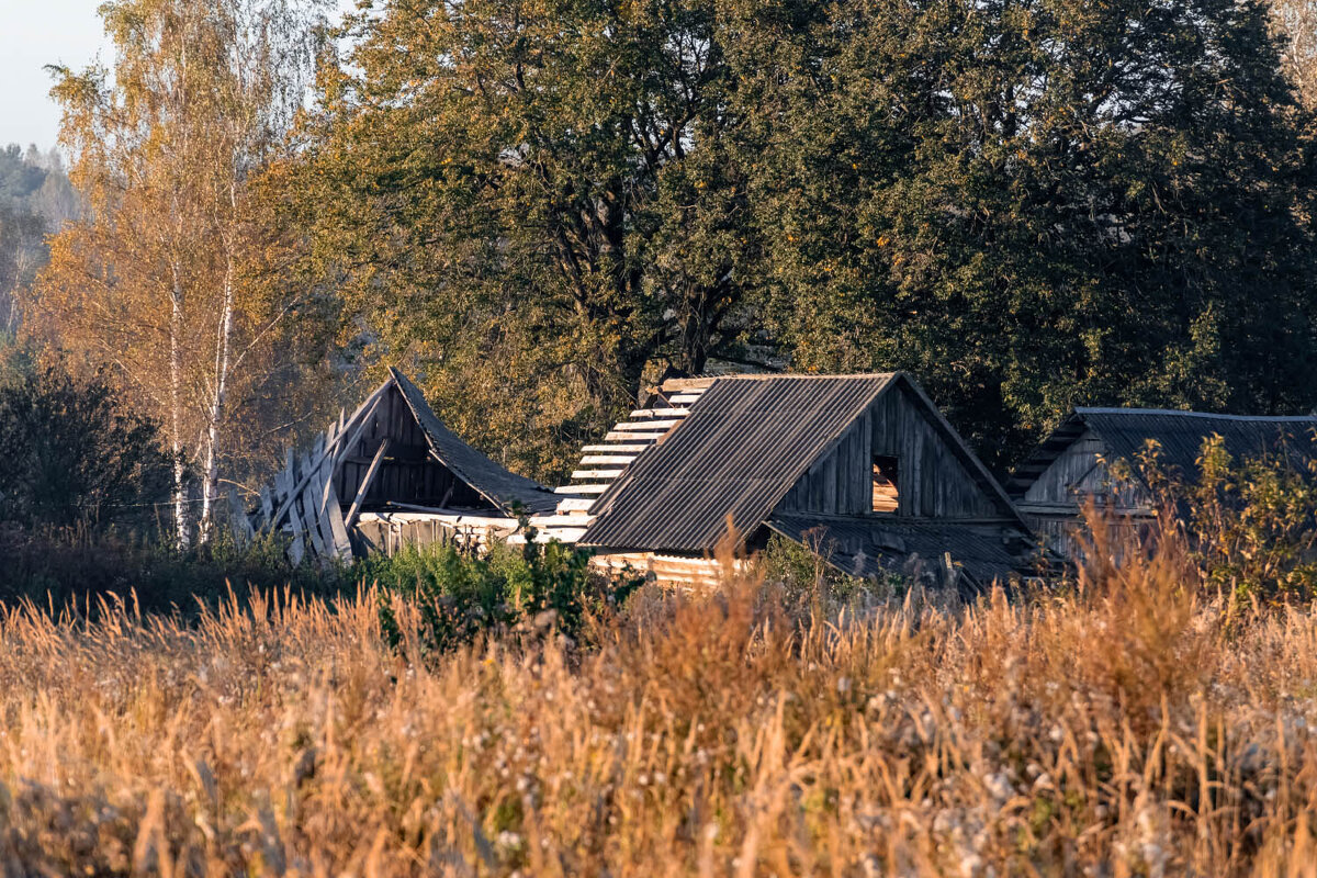 В деревне - Александр 