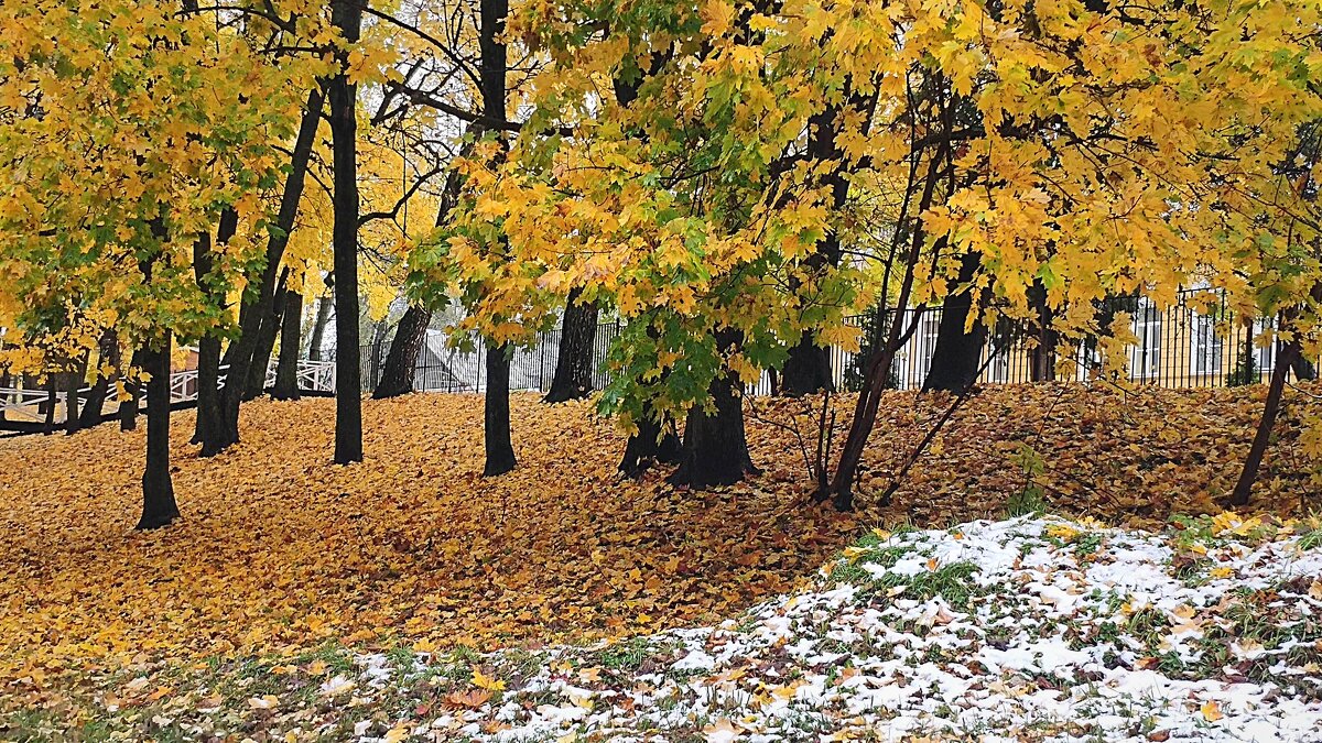 первый снег - Любовь 