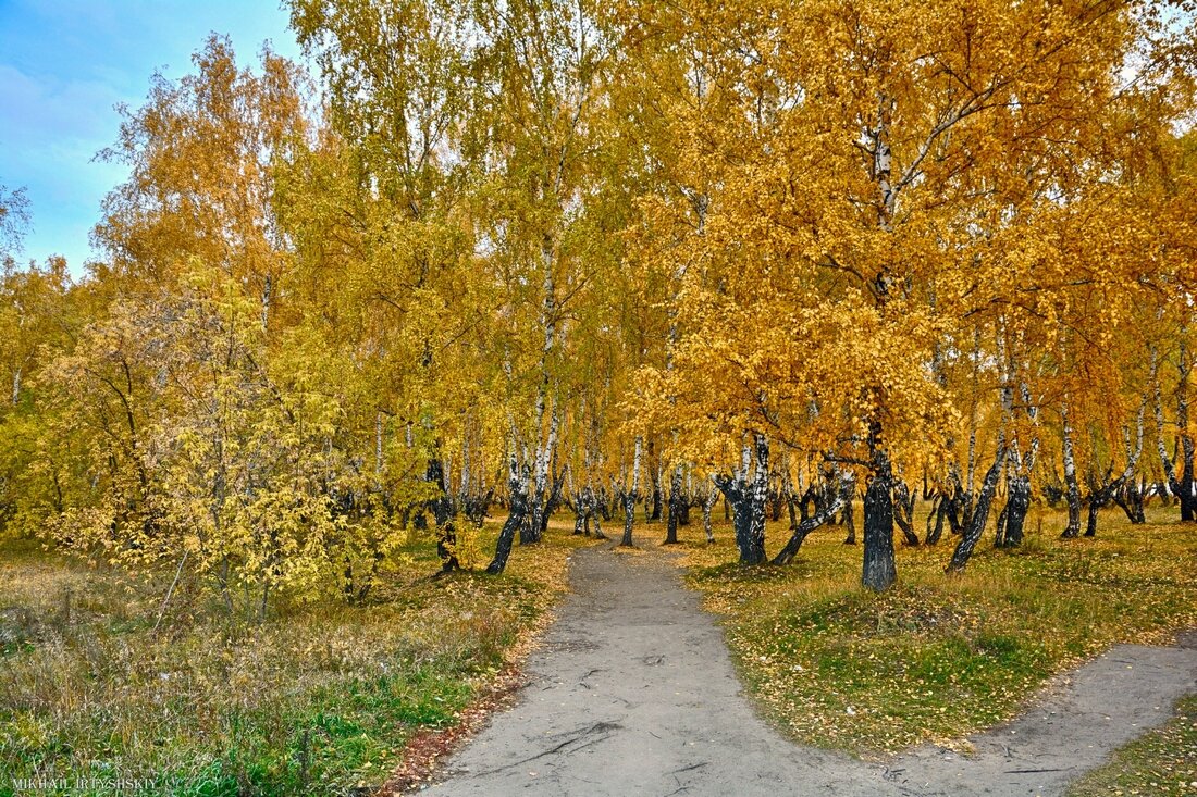 По дороге в осеннюю рощу - Mikhail Irtyshskiy