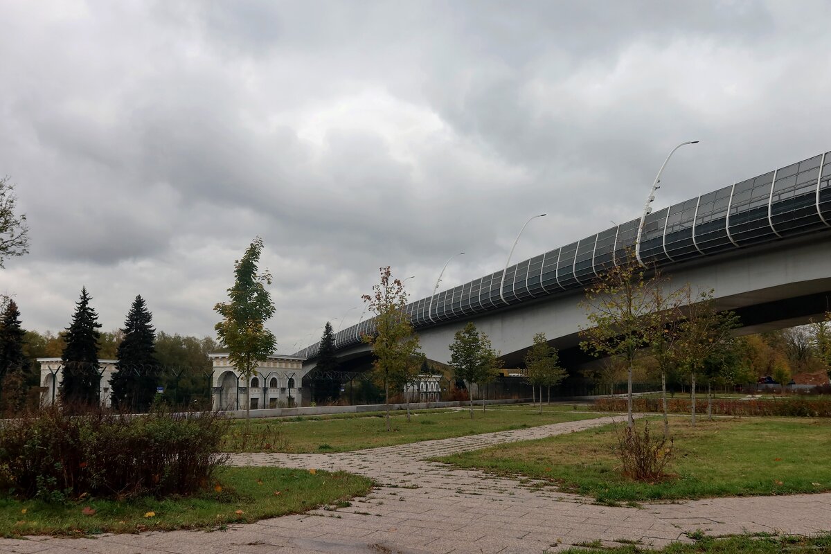 Новый Карамышевский мост - Дмитрий И_