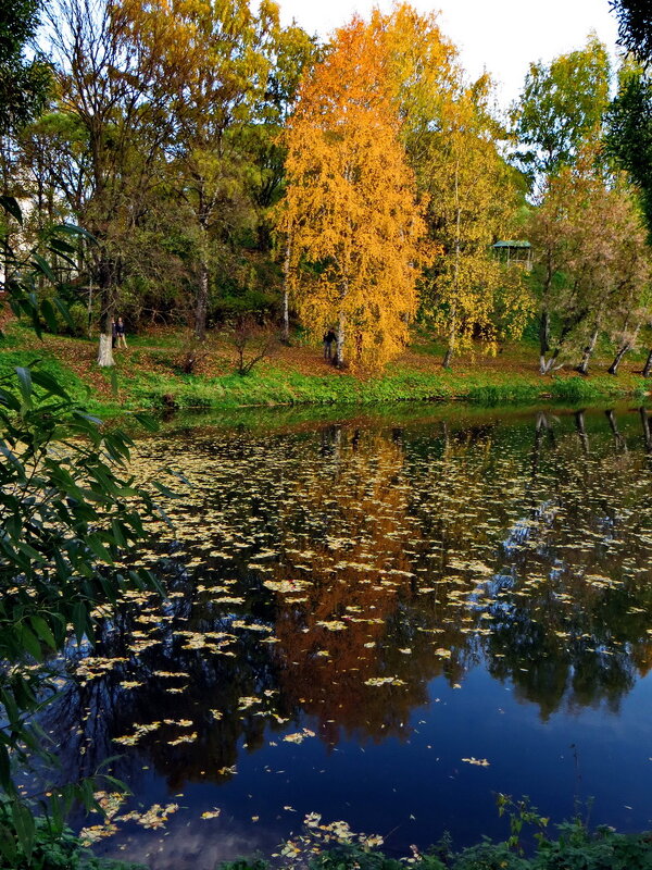 Осень. - Александр 