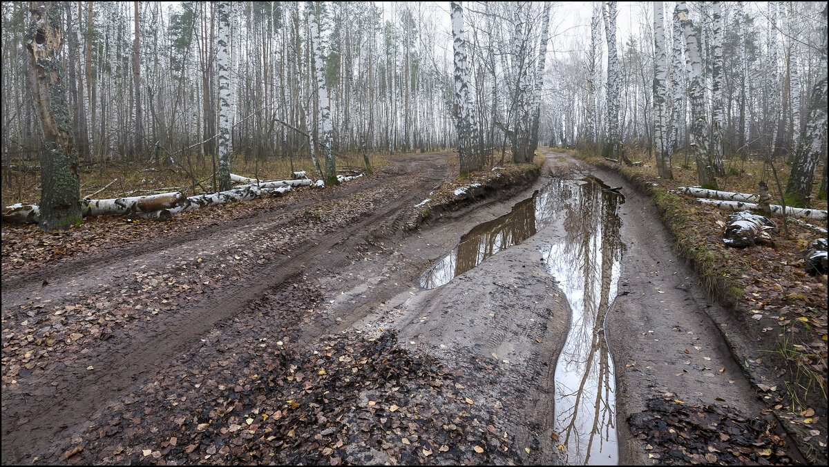 Осень - **** vedin