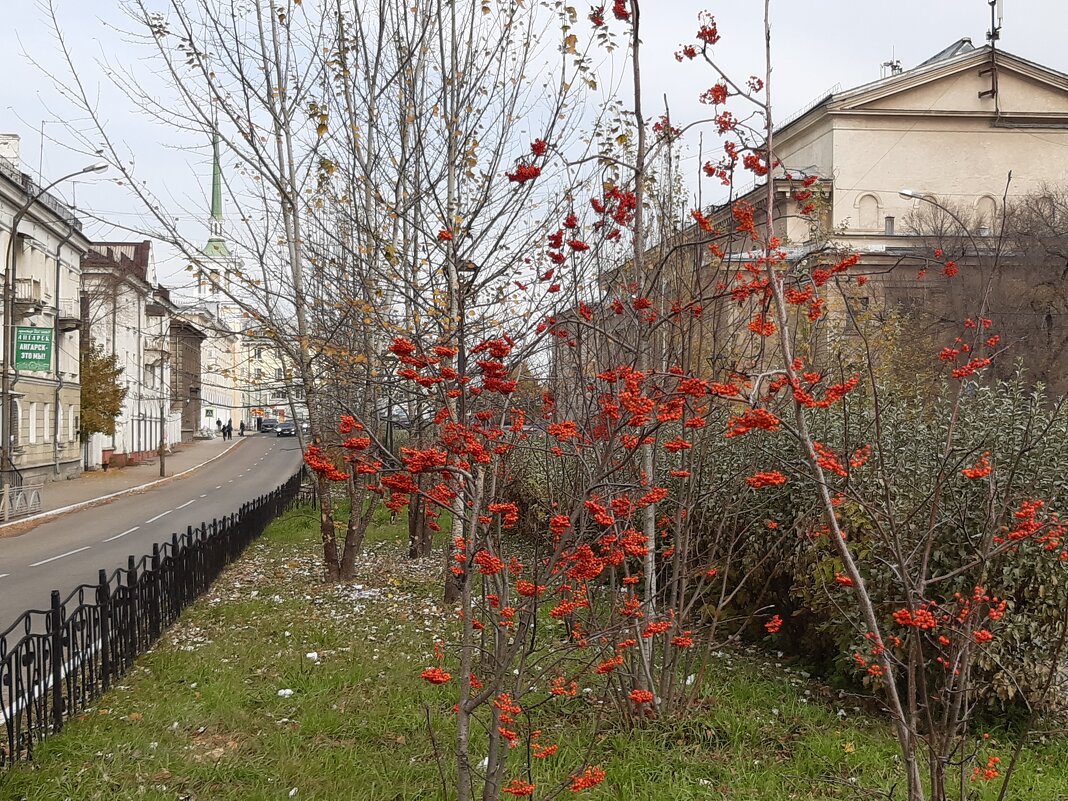 Октябрь - Галина Минчук