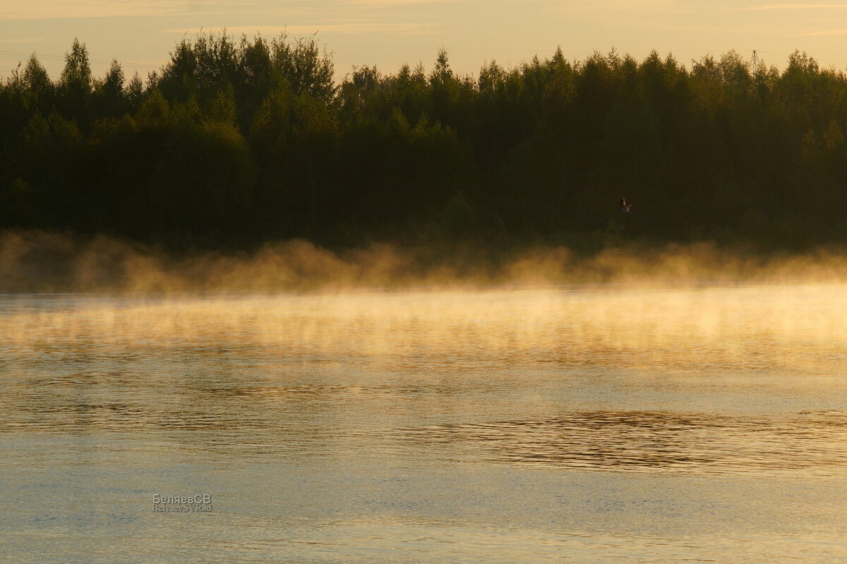 Туман на воде - Сергей Беляев