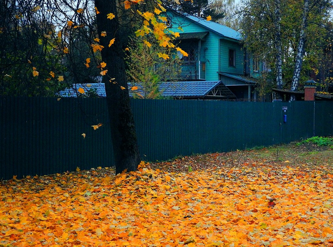 Осень, осень, ну давай у листьев спpосим... - Леонид leo