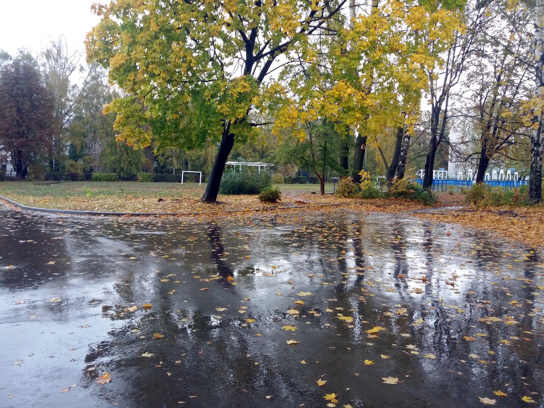 Осень в городе - Galina Solovova