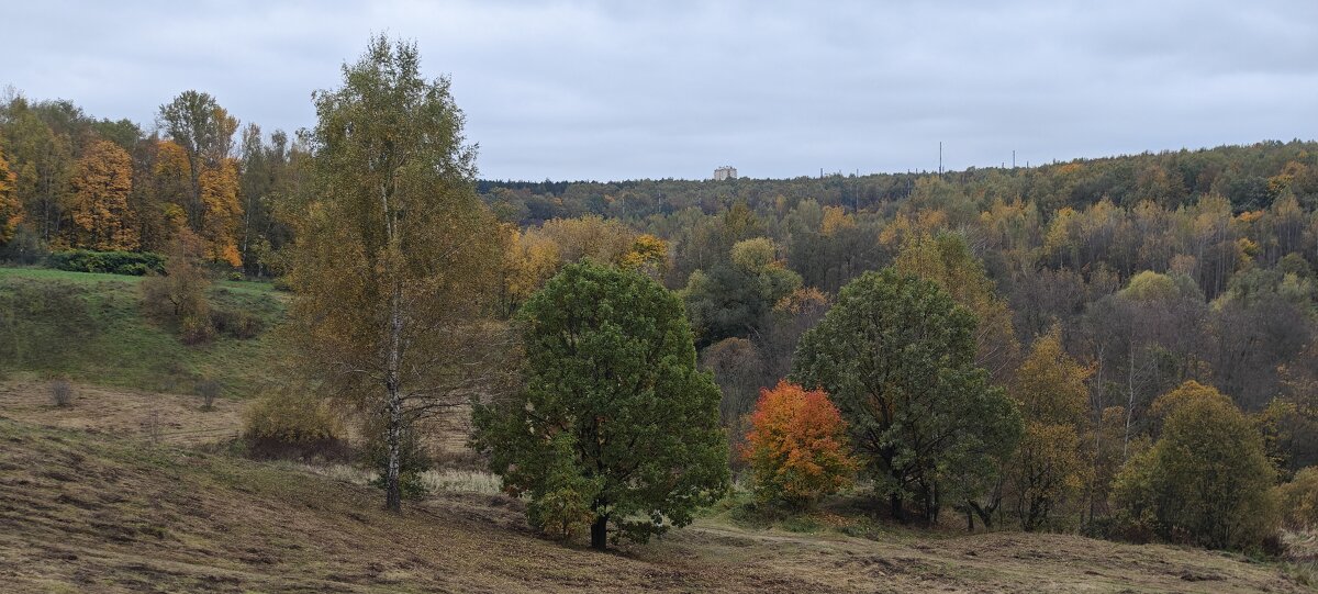 Царицынская осень - <<< Наташа >>>