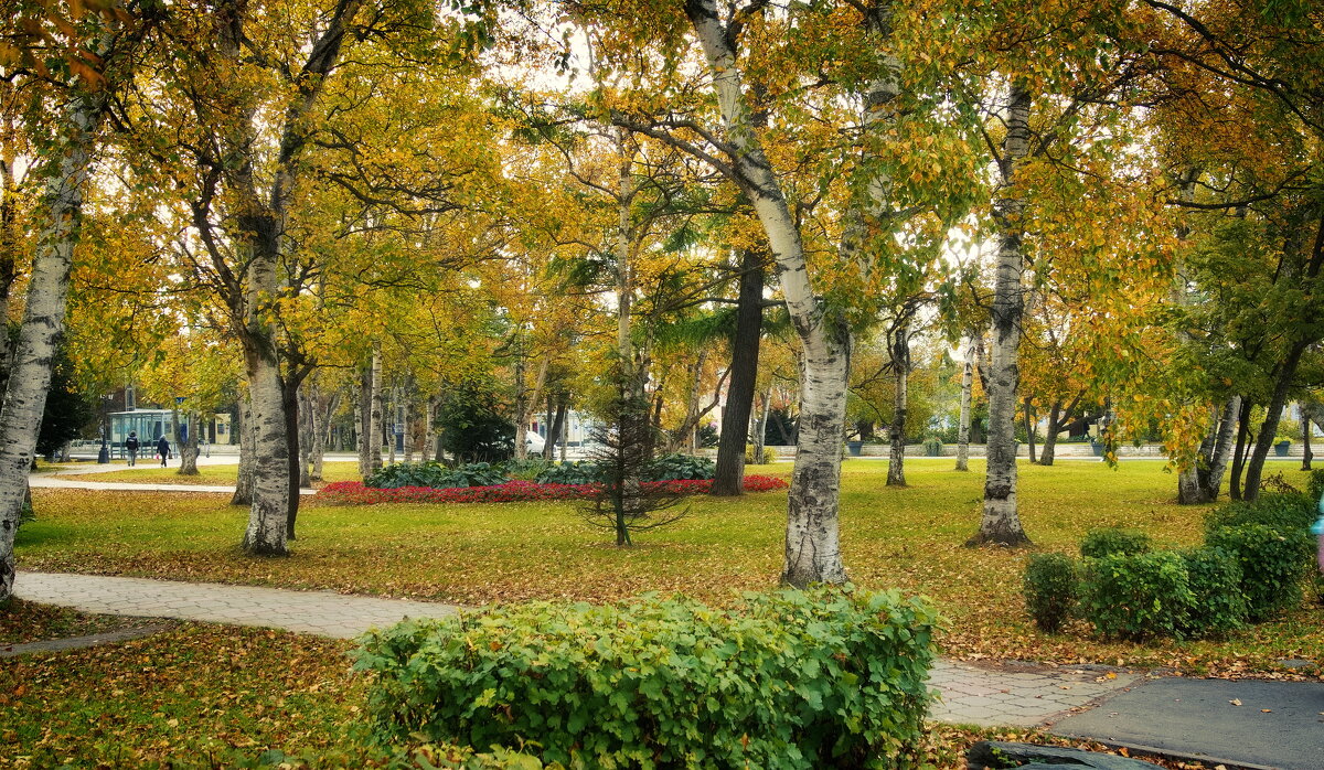 Городской сквер. - fillarret-2 