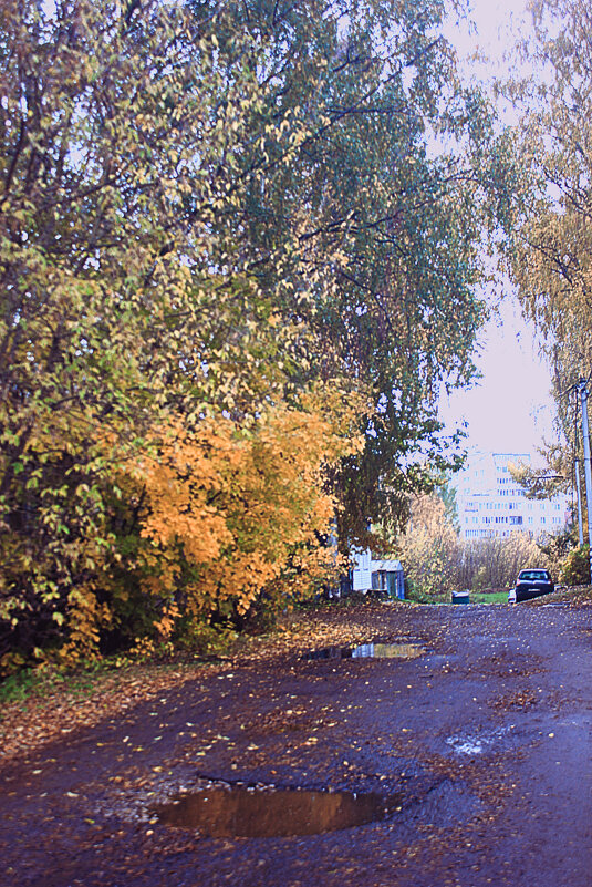 Осень на улицах - Сергей Кочнев