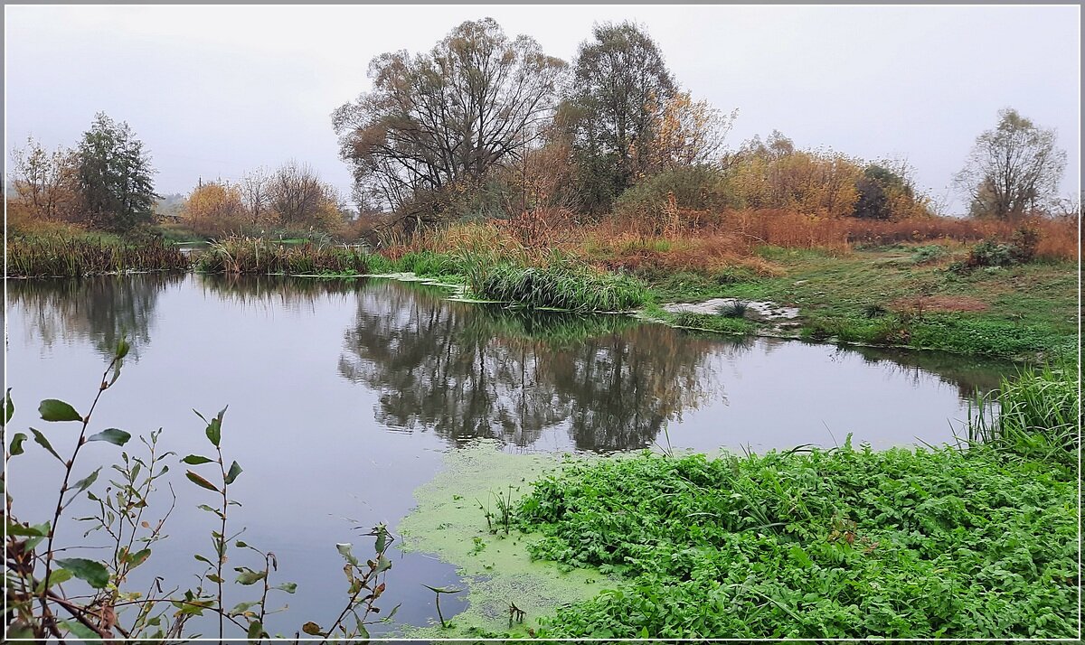 Пляжик из детства ... - Сеня Белгородский