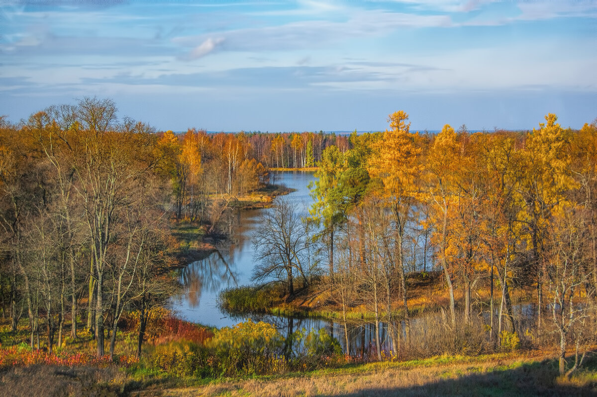 Осень в  парке - Vladimbormotov 