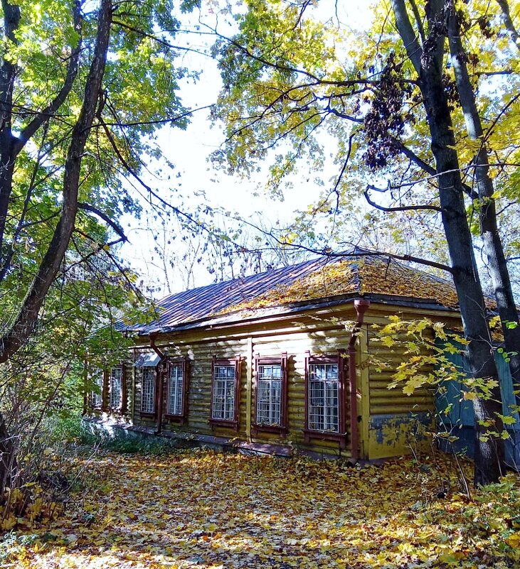 В усадьбе - Наталия Парфенова