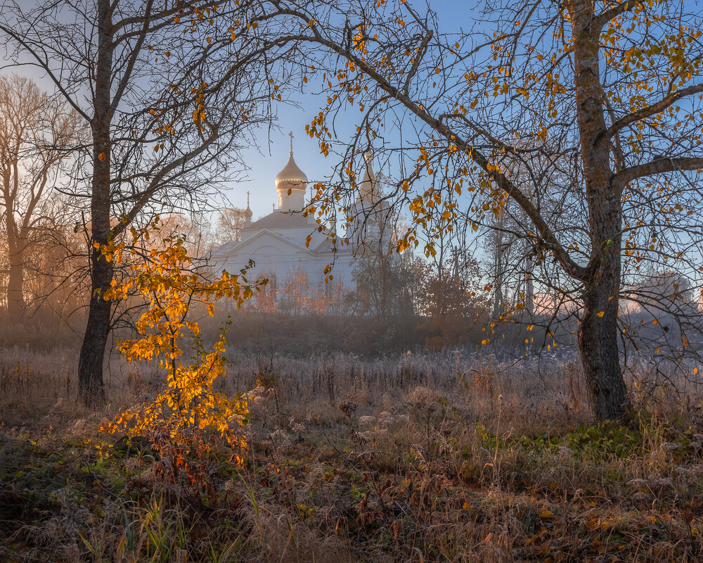 **** - Елизавета .