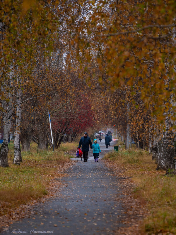 В осень. - Андрей + Ирина Степановы