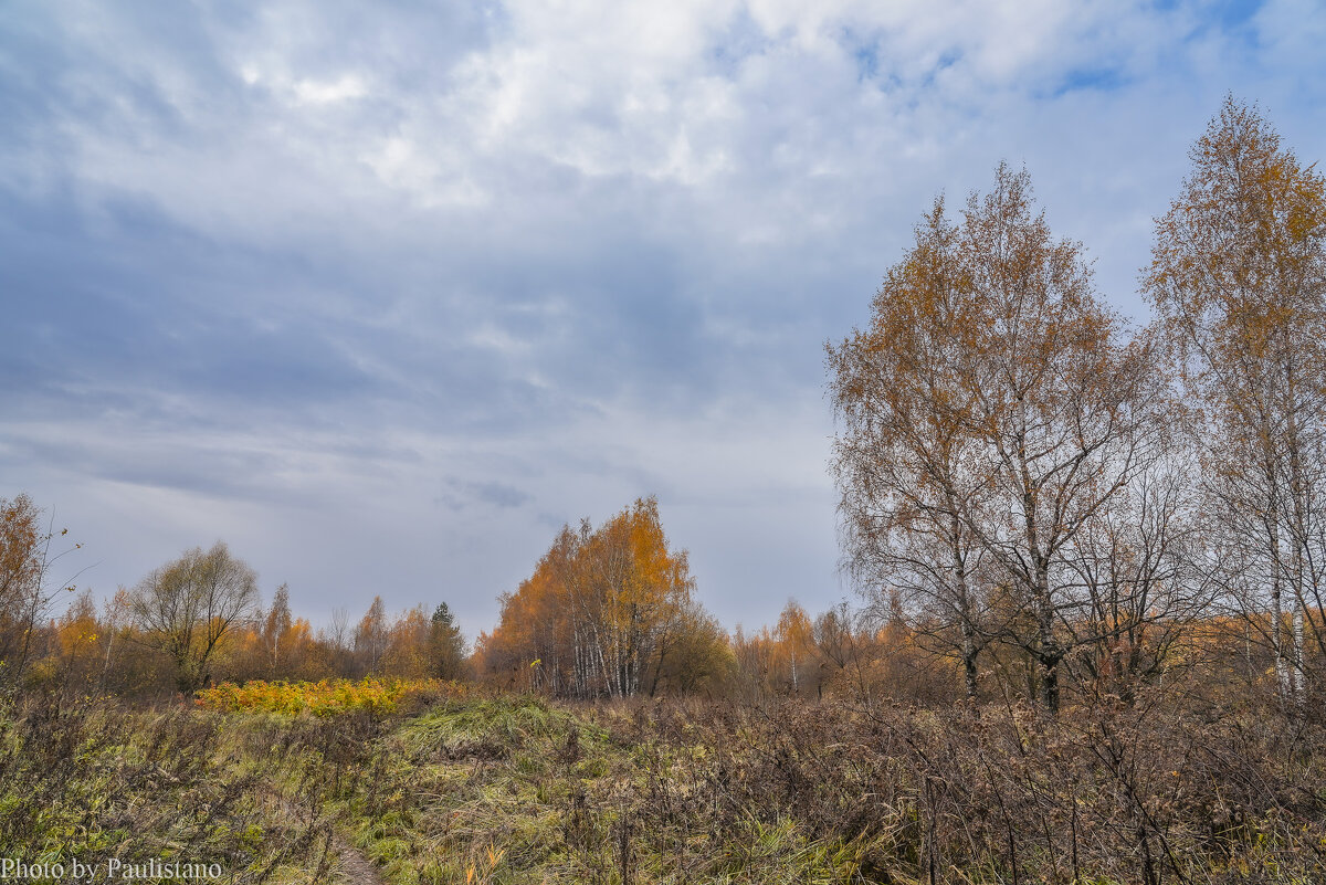 Небо октября... - Владимир Жданов