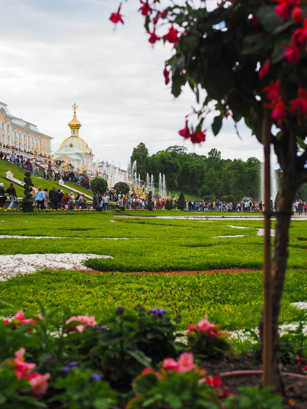 ИЗ_ЦВЕТОВ - Сергей Янович Микк