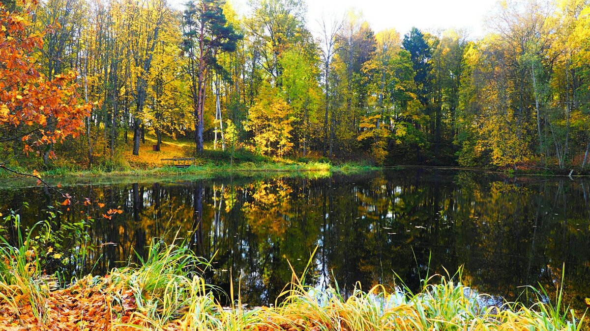 Дивная природа Смоленщины - Милешкин Владимир Алексеевич 