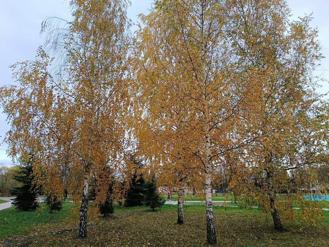 Ноябрь...в парке... - Мария Васильева